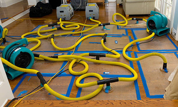 Professional Crawl Space Water Removal technician working in Newark, IL